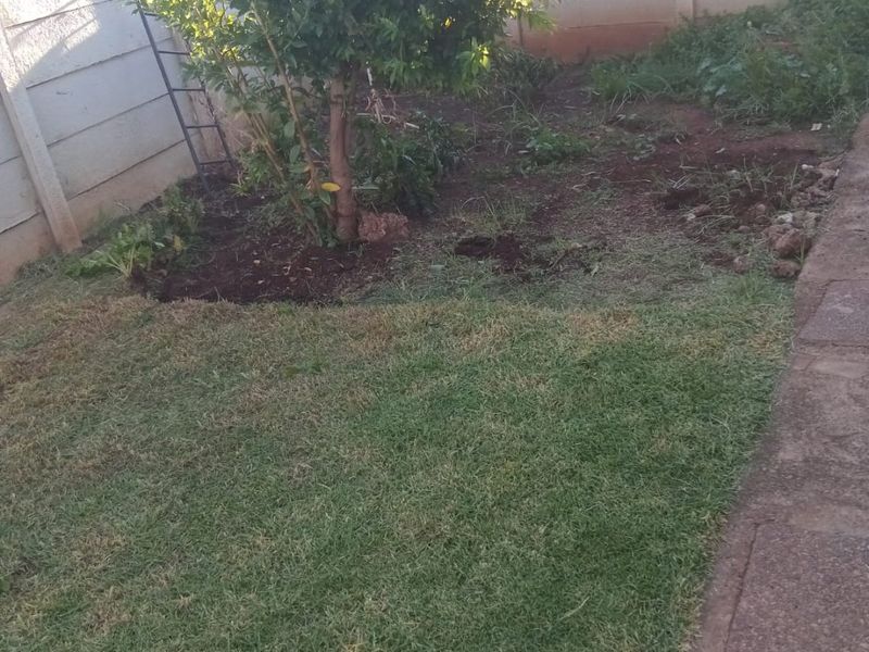 A private backyard garden area featuring a lawn, a mature tree, and a paved walkway enclosed by precast concrete boundary walls.