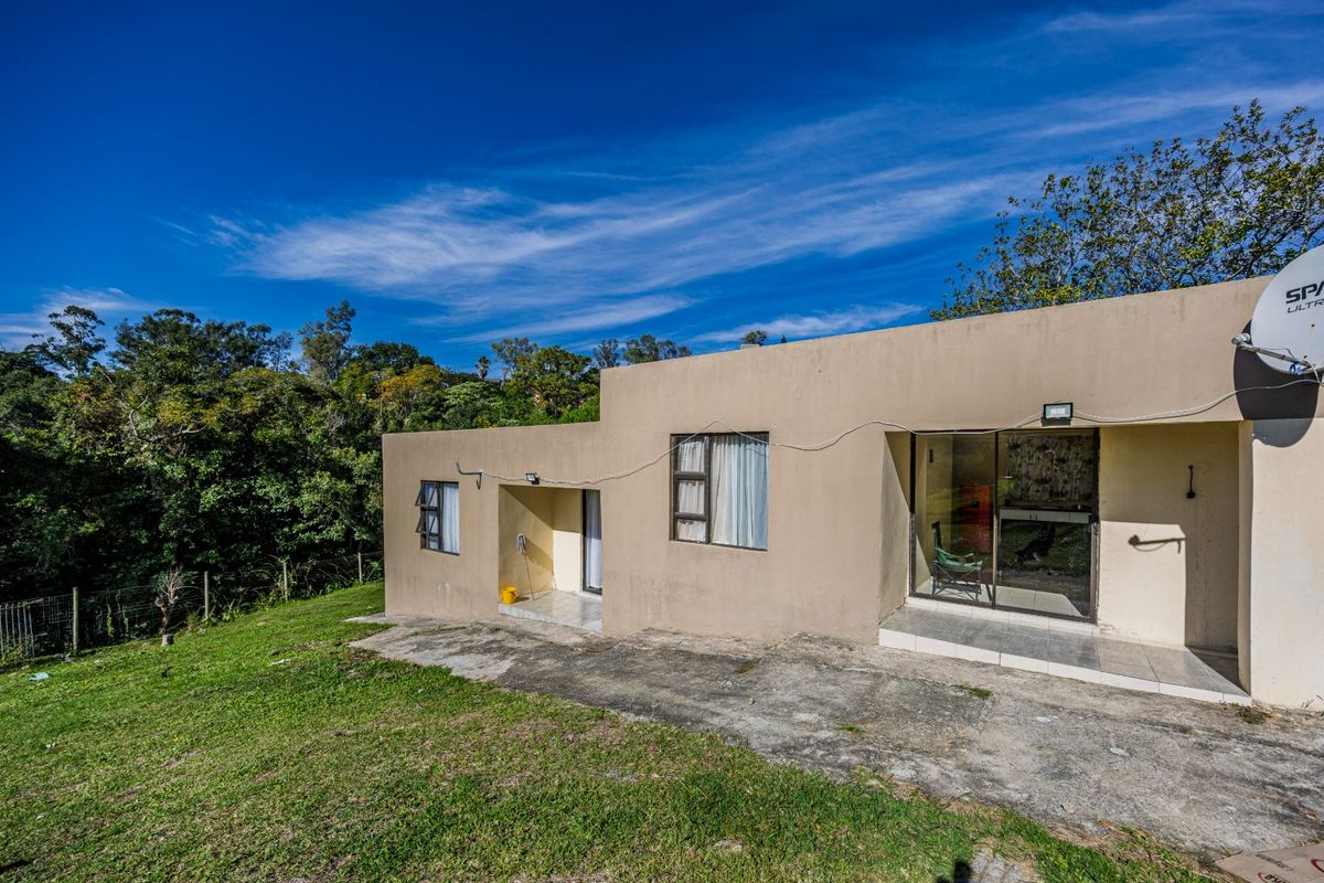 Rear exterior view of the house featuring a concrete patio, sliding glass doors, and aluminum window frames set against a natural garden backdrop.
