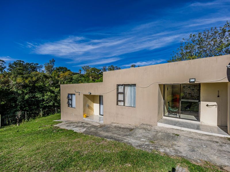 Rear exterior view of the house featuring a concrete patio, sliding glass doors, and aluminum window frames set against a natural garden backdrop.