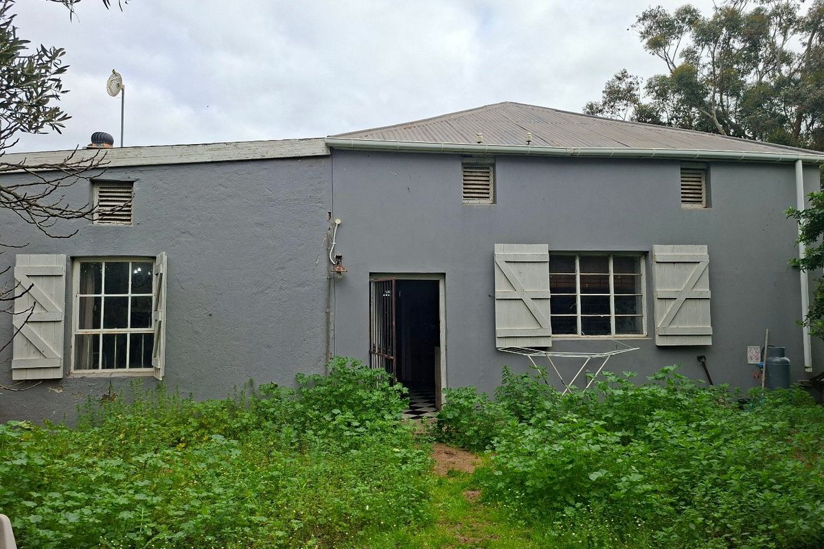 Rear exterior view of a single-story house featuring grey painted walls, timber shutters, and steel-framed windows, set against an overgrown garden area.