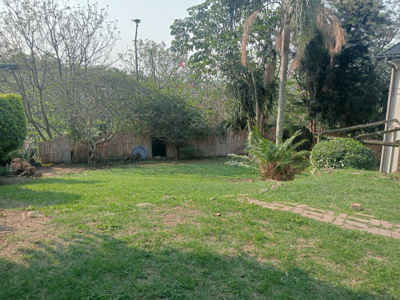 A spacious backyard garden featuring a grass lawn, mature trees, and natural reed fencing, providing a private outdoor setting.