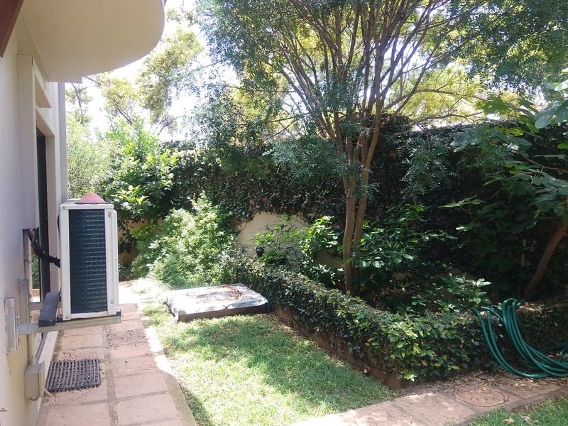 A private rear garden area featuring a paved walkway, mature trees, and a boundary wall with established climbing vegetation.