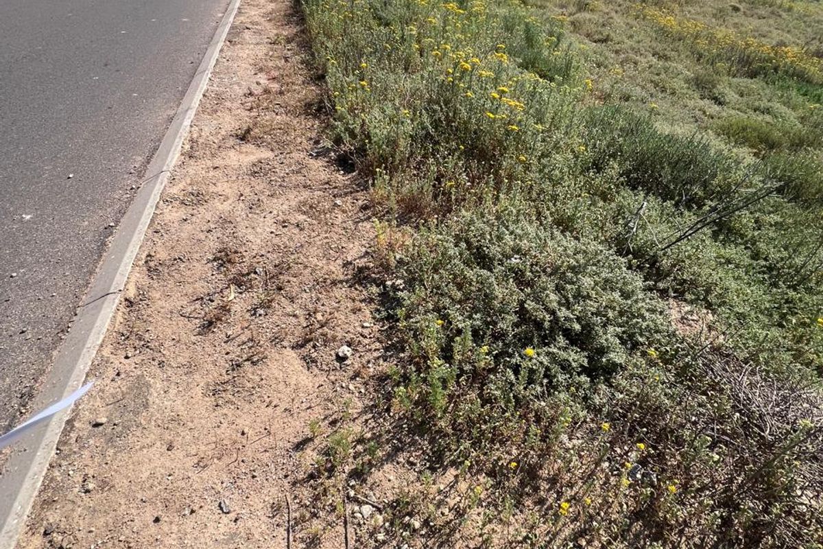 A view of the asphalt road and concrete curbing bordering the vacant residential land, featuring natural coastal vegetation and surrounding hillside landscape.