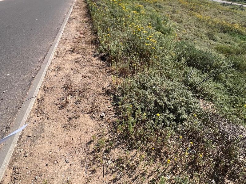A view of the asphalt road and concrete curbing bordering the vacant residential land, featuring natural coastal vegetation and surrounding hillside landscape.