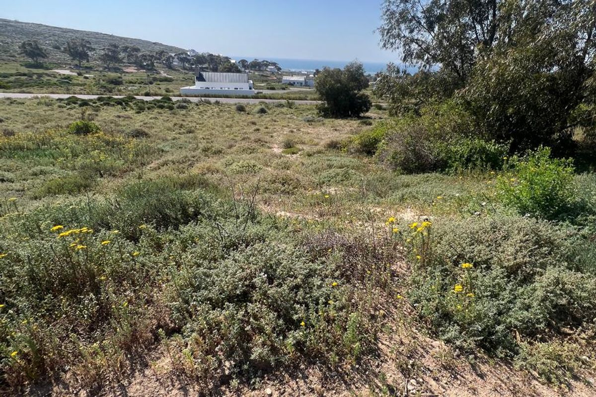 A view of the vacant residential land featuring natural coastal vegetation and distant ocean views.