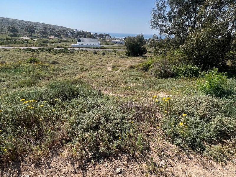 A view of the vacant residential land featuring natural coastal vegetation and distant ocean views.