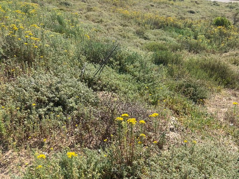 A scenic view of the natural landscape and surrounding coastal terrain, showcasing the open space and local vegetation of the vacant residential land.