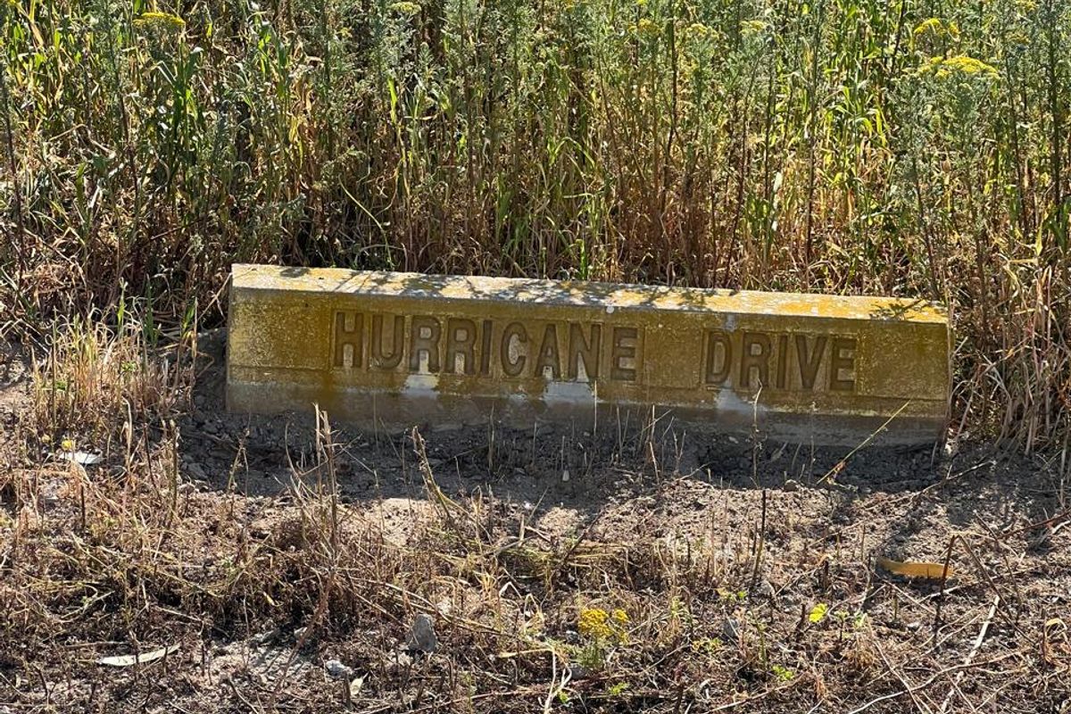 A street name marker for Hurricane Drive located on a vacant residential plot with natural vegetation.