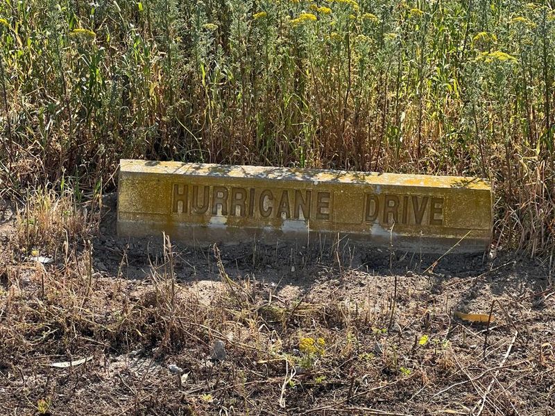A street name marker for Hurricane Drive located on a vacant residential plot with natural vegetation.
