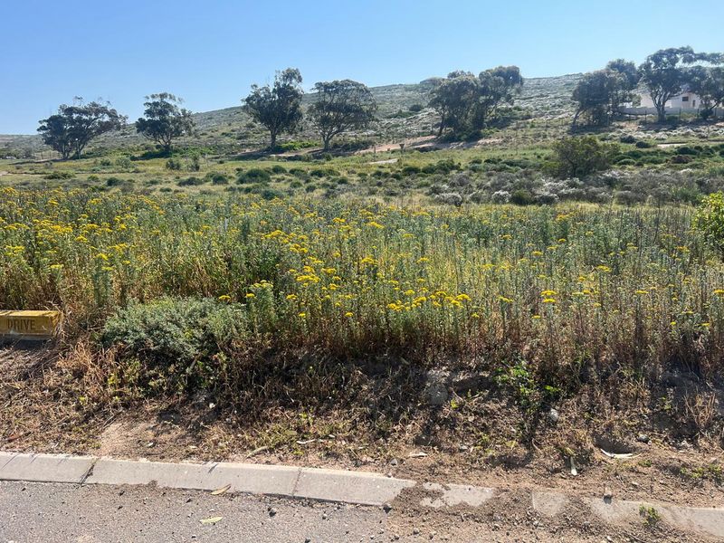 A view of a vacant residential plot featuring natural vegetation and a paved road frontage.