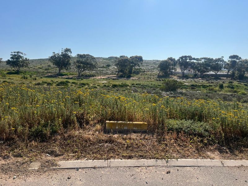 A view of a vacant residential plot featuring natural landscape and vegetation, situated along a paved road.