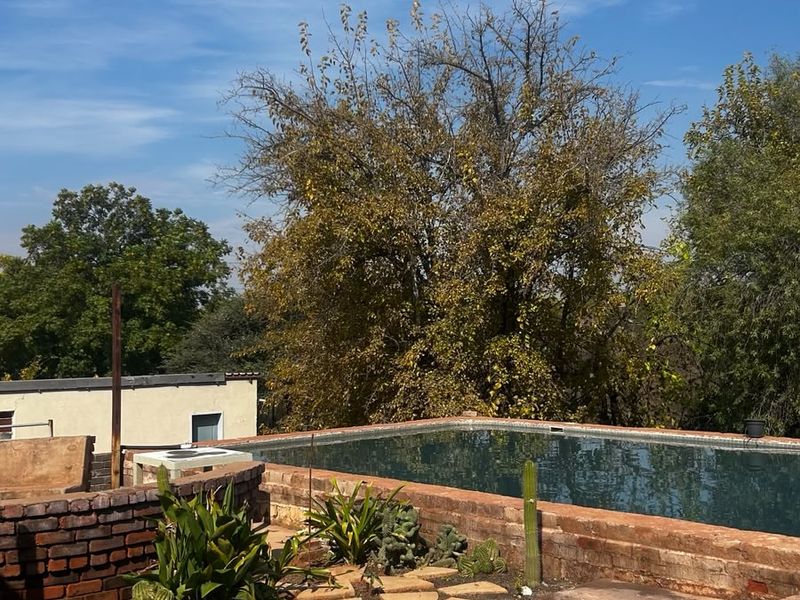 Outdoor pool area featuring a raised swimming pool with brick surround and paved patio space, set against a backdrop of mature trees.