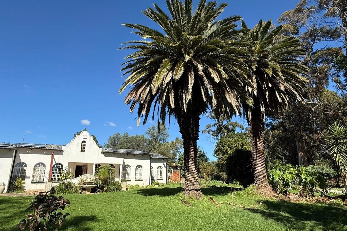 A view of the rear facade of the farm property, featuring classic gabled architecture, arched windows, and established palm trees set within a spacious garden.