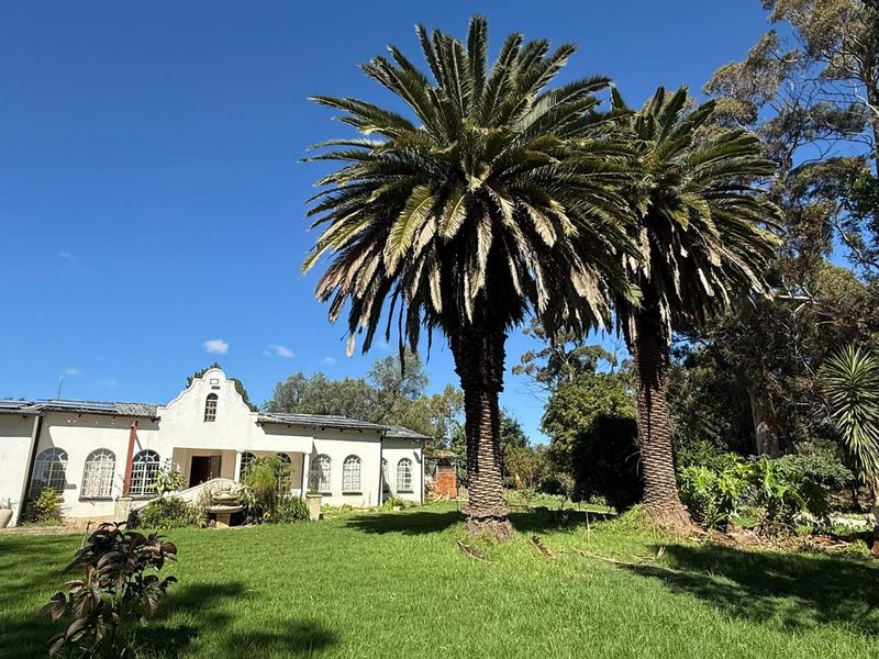 A view of the rear facade of the farm property, featuring classic gabled architecture, arched windows, and established palm trees set within a spacious garden.