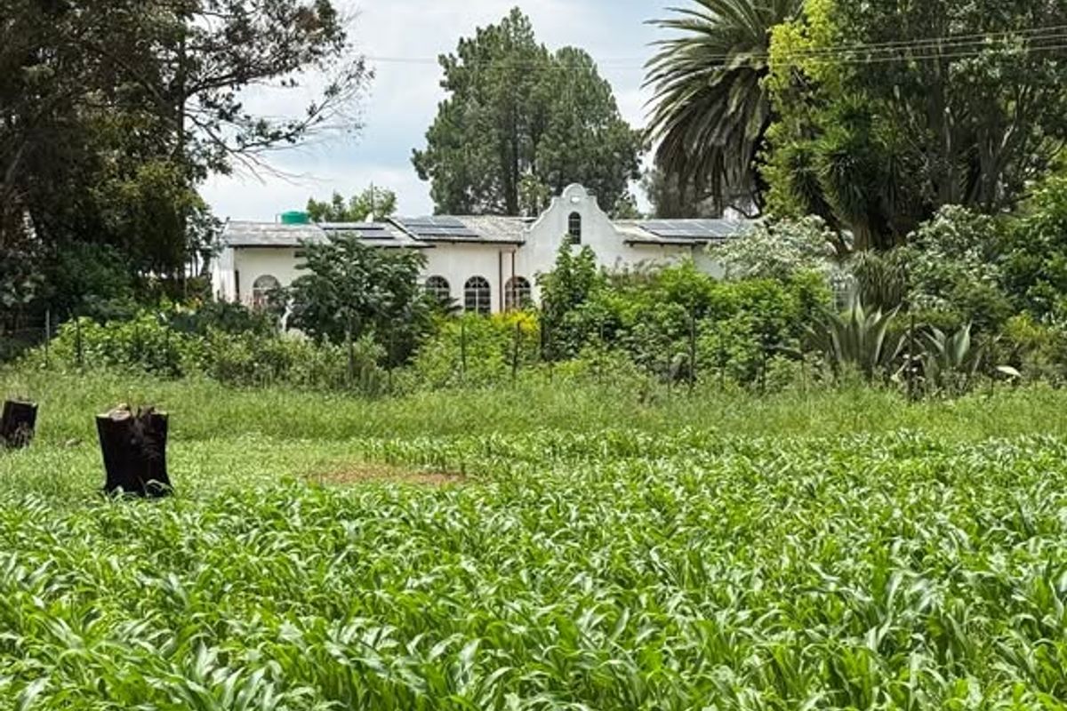 A view of the farm residence featuring a gabled roof, arched windows, and installed solar panels, surrounded by lush greenery and agricultural land.