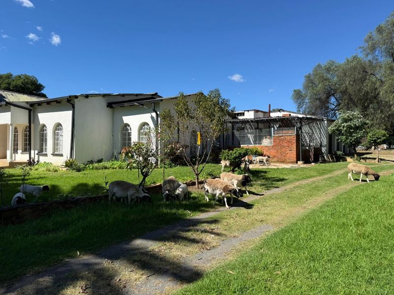 Rear view of the farmhouse featuring white masonry walls, arched windows, and a brick-built pergola structure set within a spacious garden.