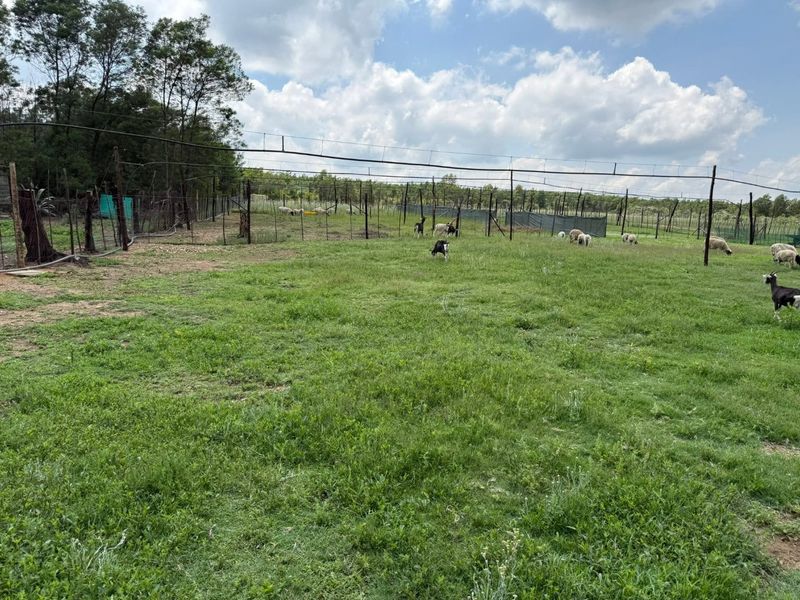 Expansive farm paddock featuring wire mesh perimeter fencing and an overhead irrigation system, suitable for livestock grazing.
