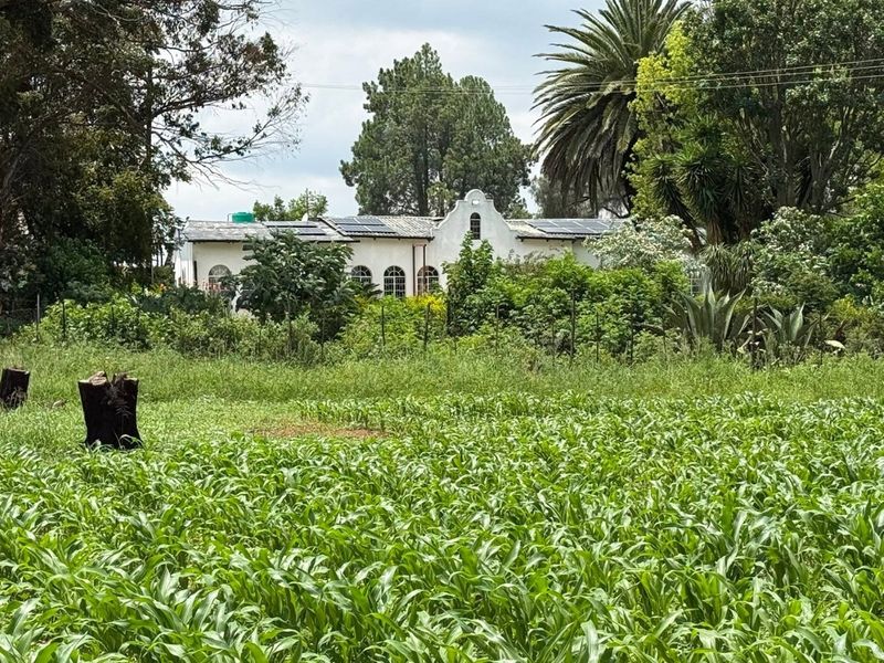 A view of the farmhouse exterior featuring a gabled roof, arched windows, and installed solar panels, set against a backdrop of lush greenery and crops.