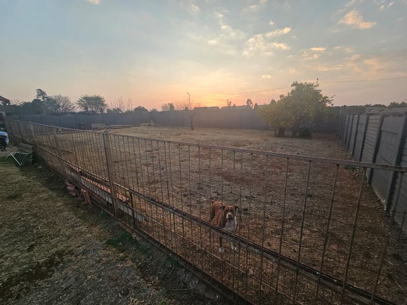 A large, open backyard area enclosed by precast concrete walls and metal fencing, featuring dry ground and sunset views.
