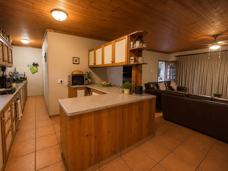 Open plan kitchen and living area featuring timber ceilings, tiled flooring, and functional built-in cabinetry with a breakfast bar counter.
