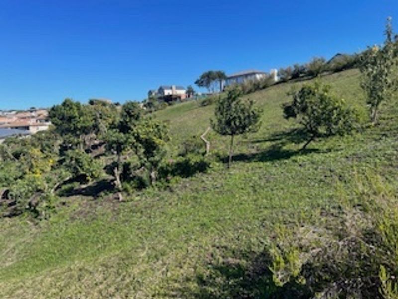 A view of a sloped residential plot featuring established trees and natural vegetation, offering potential for future development.