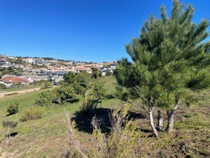A view of the vacant residential land featuring sloped terrain and native vegetation, overlooking the surrounding neighborhood.