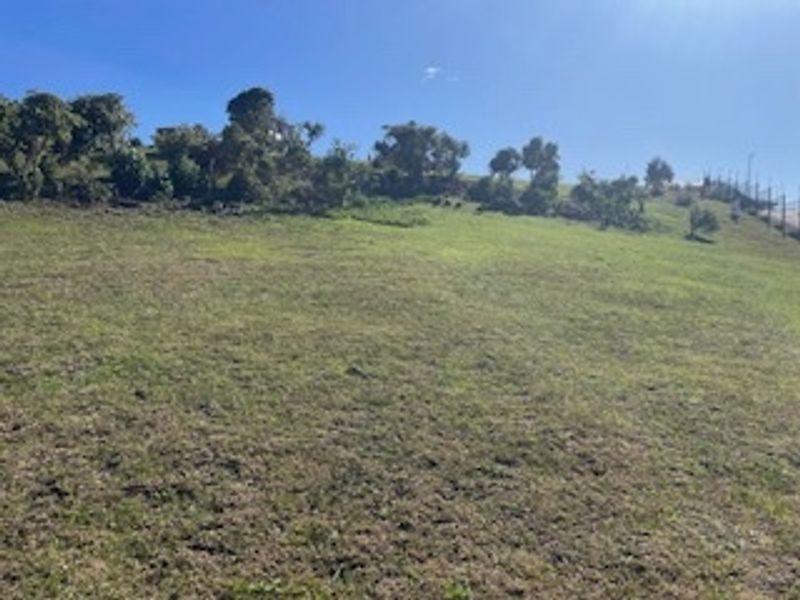 A view of a vacant residential plot featuring sloped grassy terrain and established trees along the boundary.