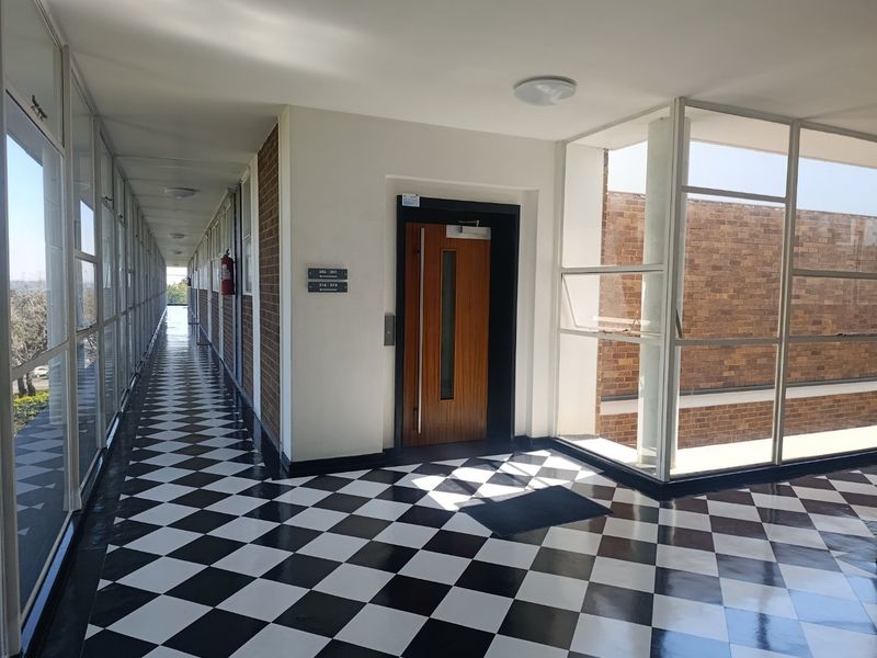 A well-maintained apartment building hallway featuring checkerboard flooring, large glass windows, and access to the elevator.