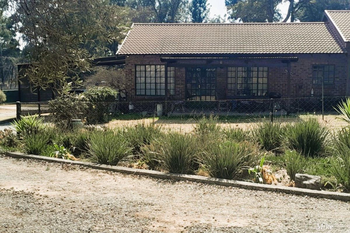 Rear view of a brick-faced residence featuring a covered patio, metal-framed windows, and a surrounding garden area with established landscaping.
