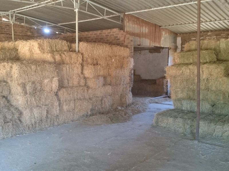 A functional farm utility space or barn featuring exposed brick walls, a concrete floor, and a corrugated metal roof structure.