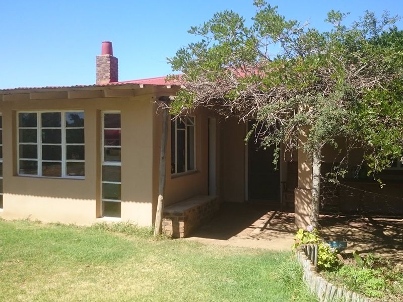 Rear view of a farm-style dwelling featuring a covered patio area, brick chimney, and corrugated metal roofing set within a garden space.