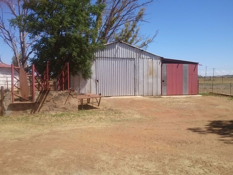 A functional farm shed with corrugated metal cladding and adjacent livestock handling infrastructure set on a rural property.