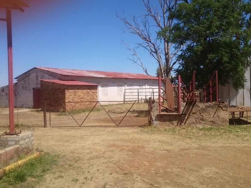 Exterior view of farm outbuildings featuring livestock handling facilities, metal fencing, and corrugated metal structures on a rural property.