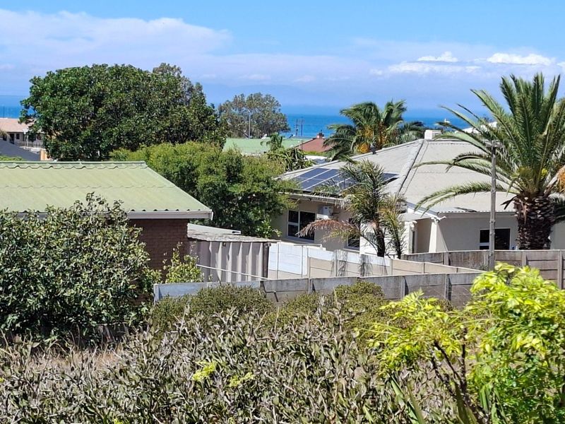 An elevated view of the surrounding residential neighborhood featuring mature trees, rooftops with solar panels, and a distant ocean horizon.