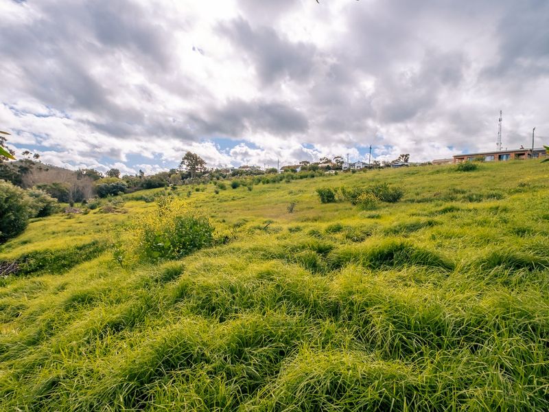 A wide-angle view of a sloped, grassy vacant residential plot with natural vegetation and distant neighborhood housing visible on the horizon.