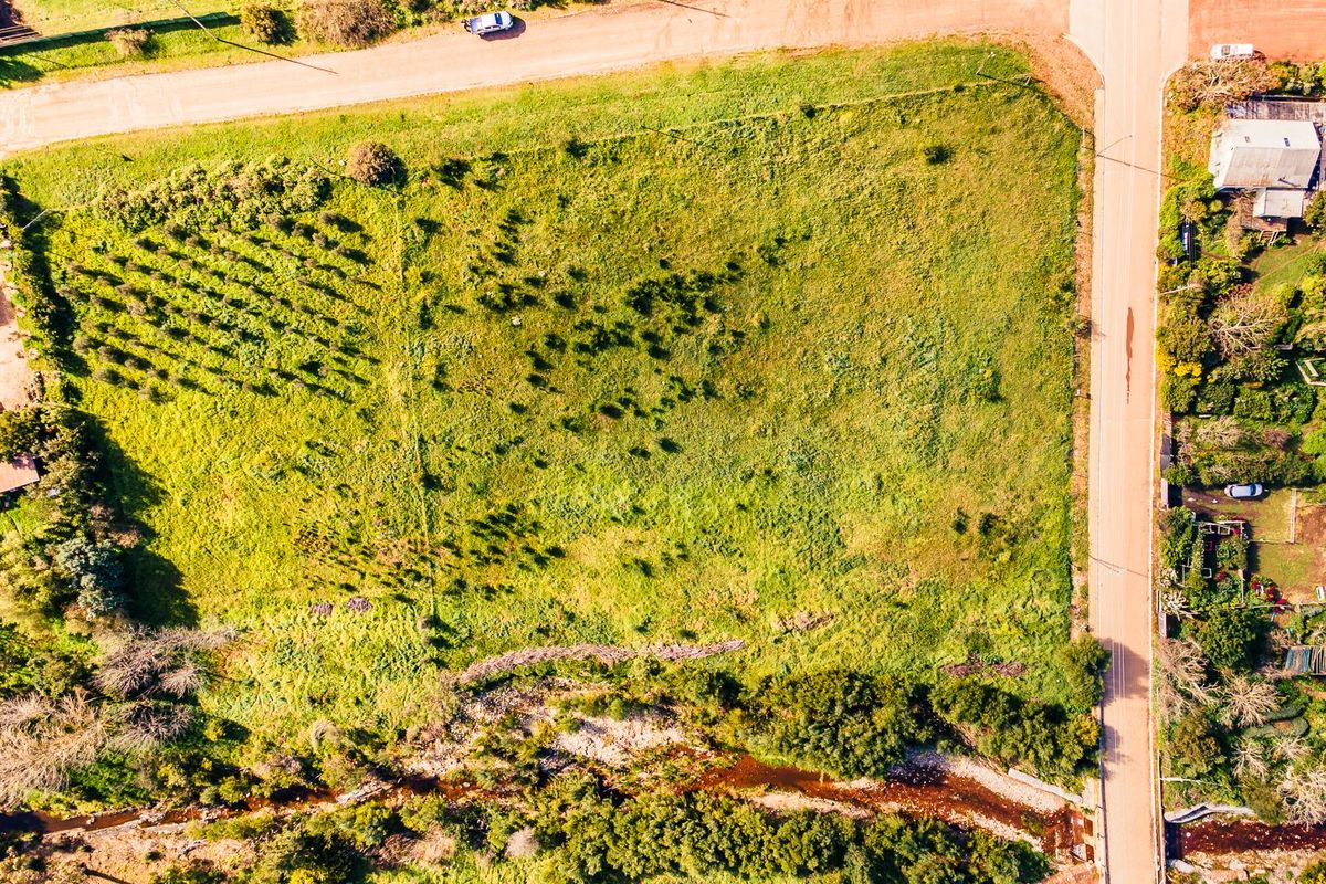 Aerial view of a vacant residential plot featuring natural vegetation, scattered trees, and a bordering creek with adjacent road access.