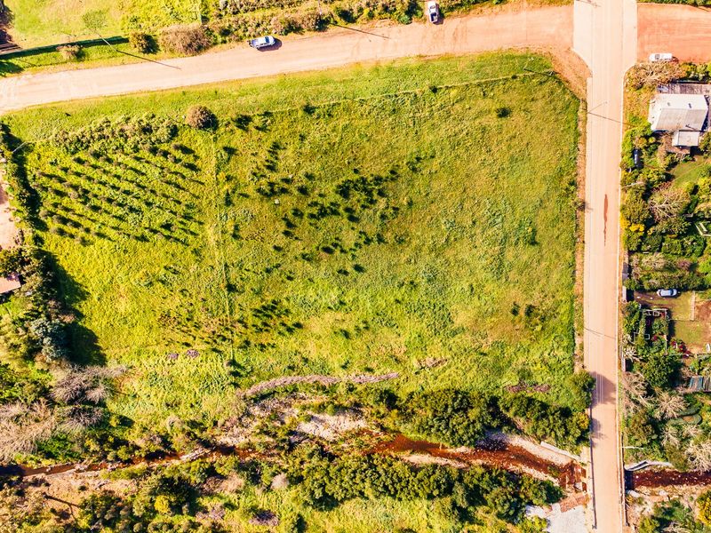 Aerial view of a vacant residential plot featuring natural vegetation, scattered trees, and a bordering creek with adjacent road access.
