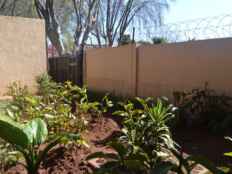 A private garden area featuring a perimeter wall with security razor wire, a metal gate, and established garden beds with a drainage point.