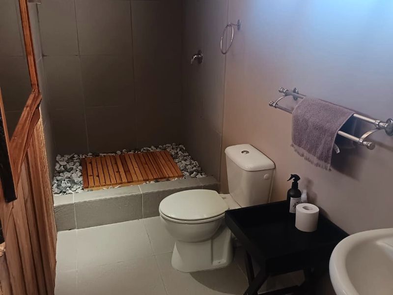 A functional bathroom featuring a walk-in shower with a rain shower head, pedestal basin, and toilet, finished with neutral floor and wall tiles.