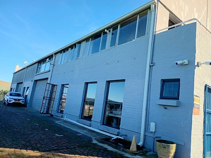 Rear exterior view of a commercial building featuring painted brick walls, large aluminium windows, a roller shutter door, and paved driveway access.