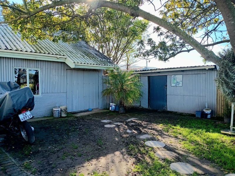 Rear exterior view of a commercial property featuring corrugated metal cladding, a pitched roof, and a garden area with a stone pathway.
