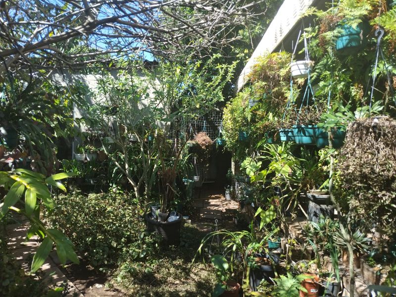 A lush, densely planted garden area featuring a paved pathway and overhead trellis structure, providing a shaded outdoor space.