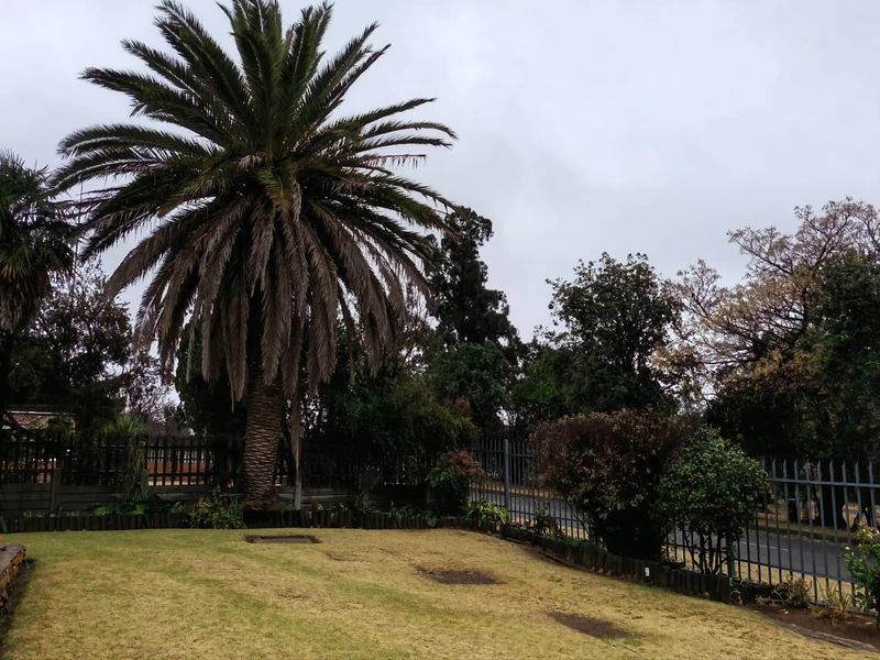 A well-established garden area featuring a large mature palm tree, manicured lawn, and secure metal perimeter fencing.