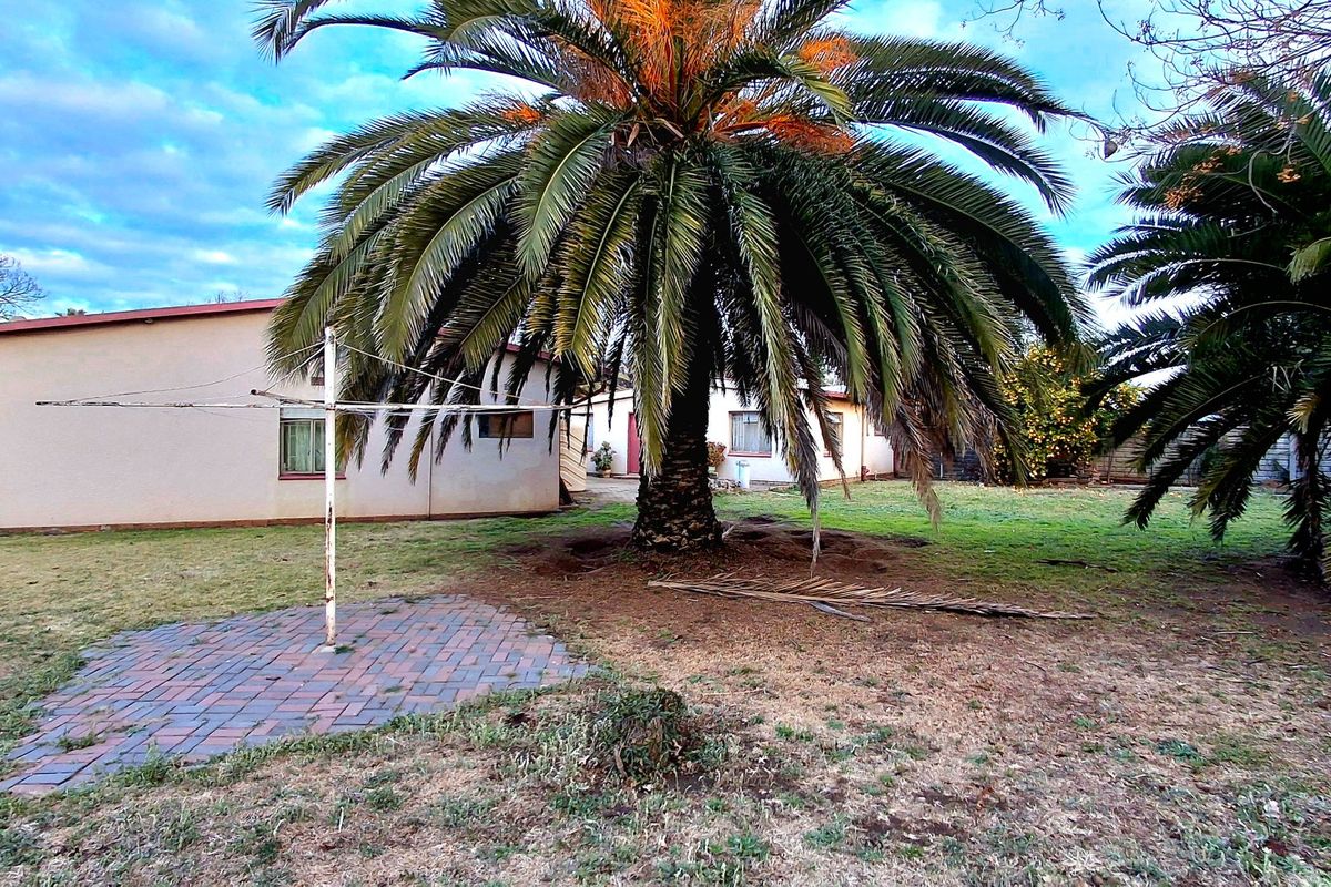 A spacious rear garden featuring a large established palm tree, a paved utility area, and a rotary clothesline set against the rear building facade.