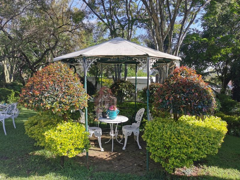 A tranquil garden setting featuring a metal gazebo structure surrounded by mature landscaping and manicured shrubs.
