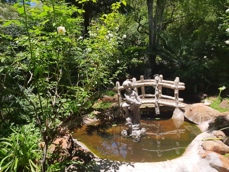A tranquil garden setting featuring a small ornamental pond with a decorative stone bridge and lush surrounding greenery.