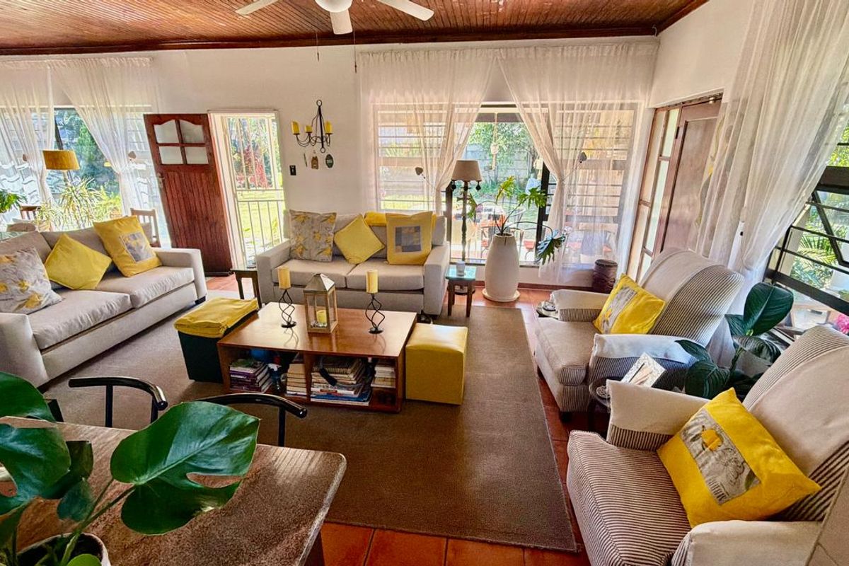 Spacious living room featuring a warm timber ceiling, ceiling fan, and large windows that provide ample natural light and access to the garden.