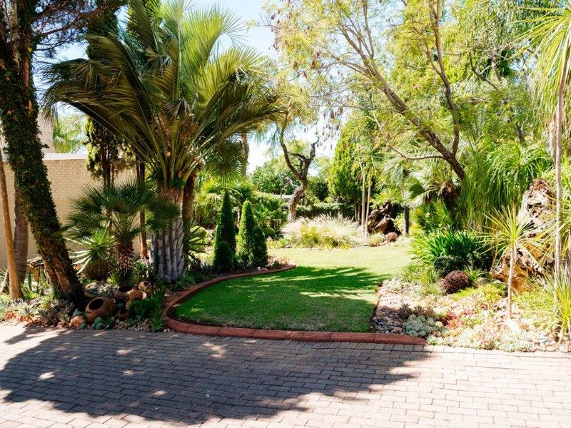 A well-maintained garden featuring a paved driveway, lush lawn, mature palm trees, and established landscaping with brick edging.