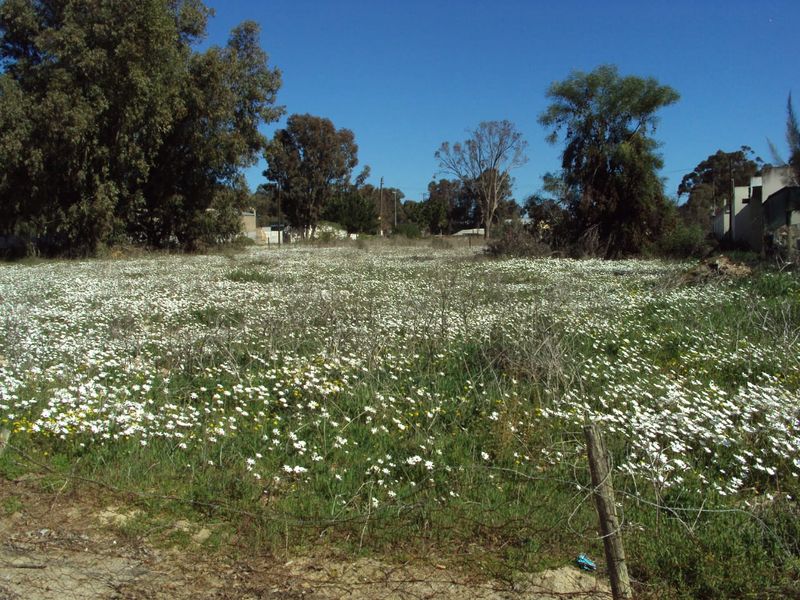 A vacant residential plot featuring natural vegetation, wildflowers, and mature trees, enclosed by a wire fence.