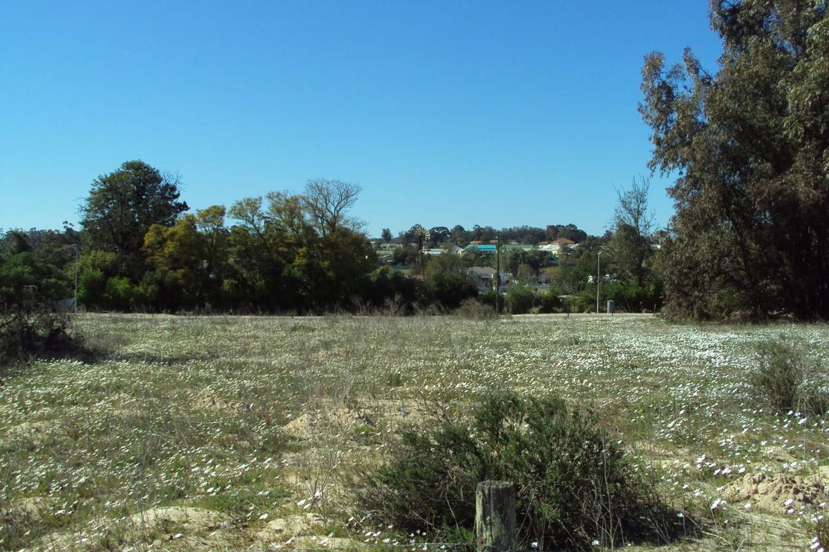 A vacant residential plot featuring natural vegetation and surrounding trees, offering a clear view of the nearby neighborhood.